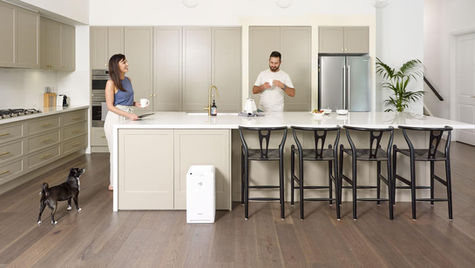 Top ten signs the air quality in your home could be better