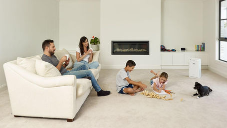 Top 5 ways to Fight Mould and Improve your Indoor Air Quality