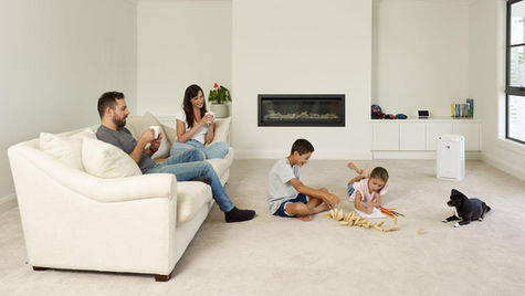 Top 5 ways to Fight Mould and Improve your Indoor Air Quality