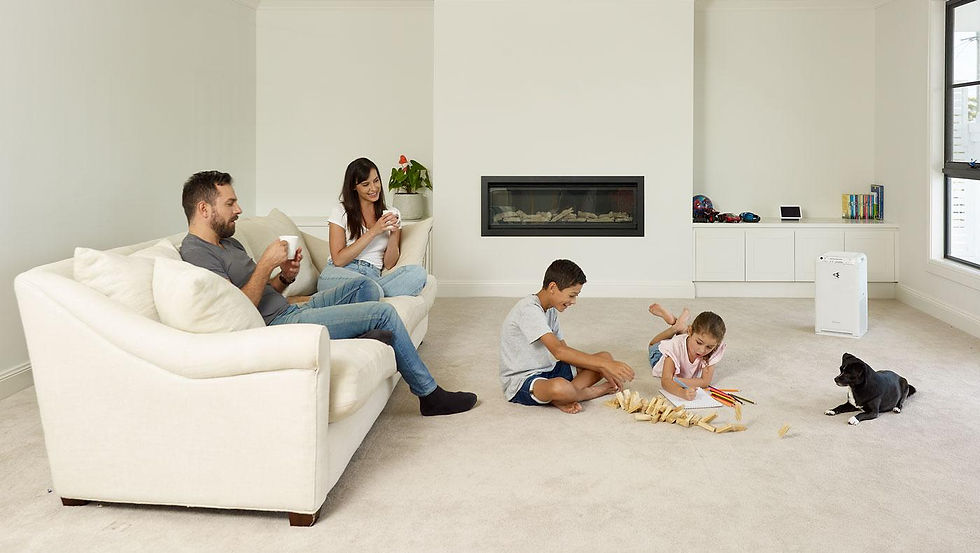 Top 5 ways to Fight Mould and Improve your Indoor Air Quality