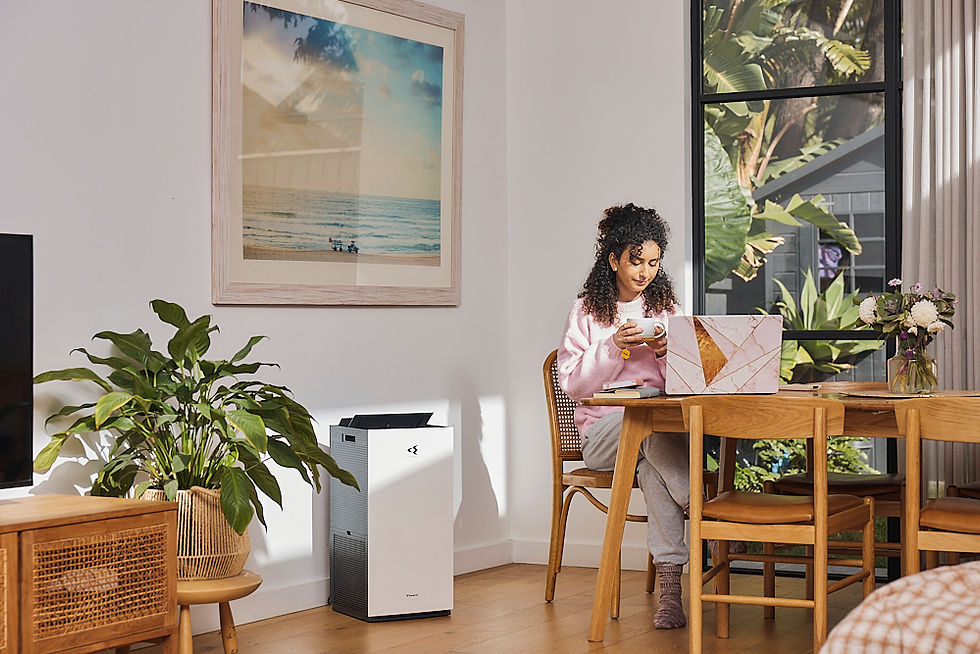 Home Air Purification Systems