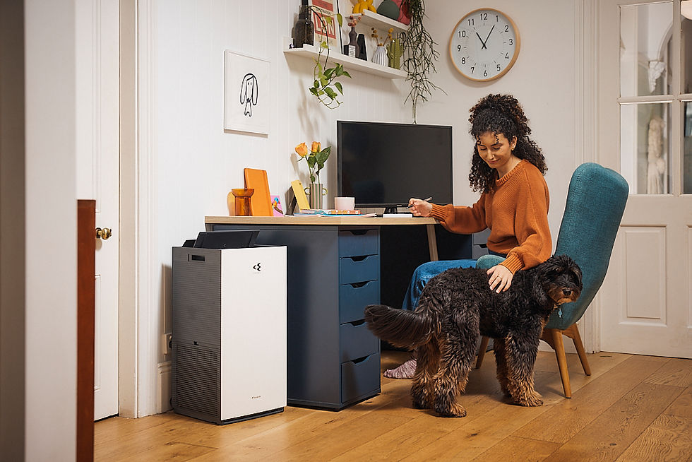 Air Purifier MCB80